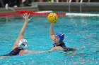WWPolo vs CC  Wheaton College Women’s Water Polo vs Connecticut College. - Photo By: KEITH NORDSTROM : Wheaton, water polo